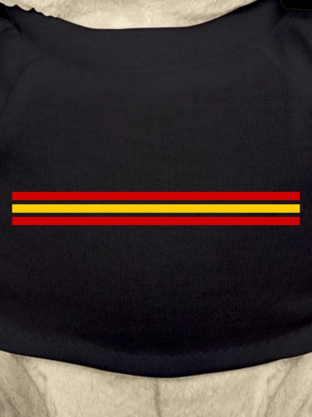 Spanien Sport