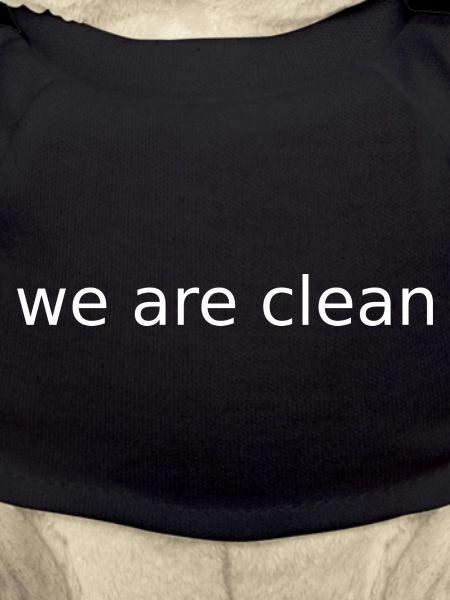 we are clean