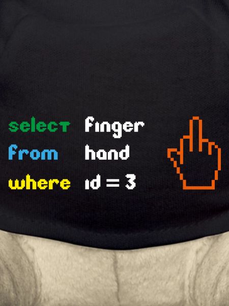 Lustige SQL-Abfrage: 8-Bit-Mittelfinger für Geeks