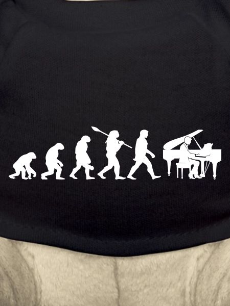 Evolution Pianiste