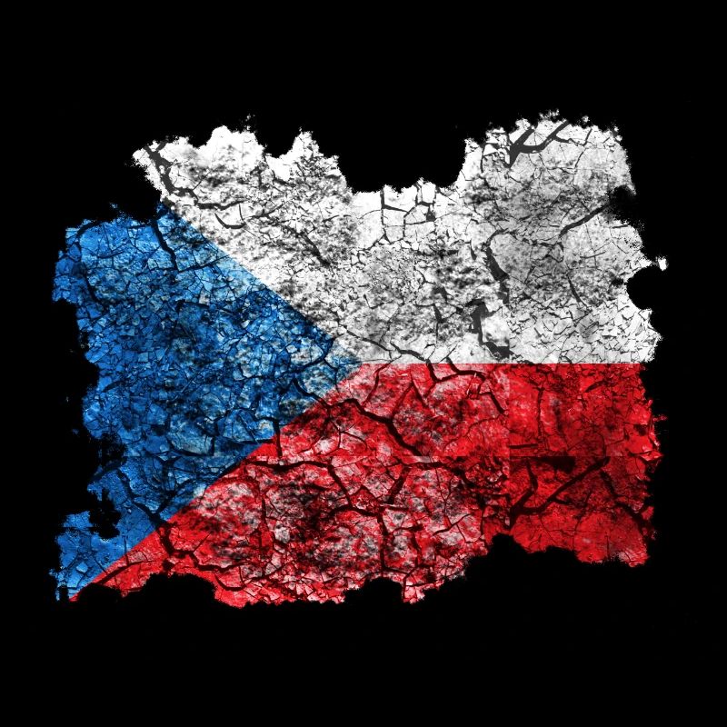 Czech Republic vintage flag