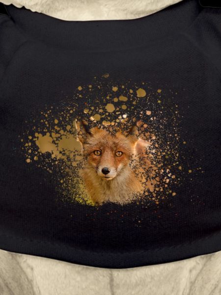 Fuchs
