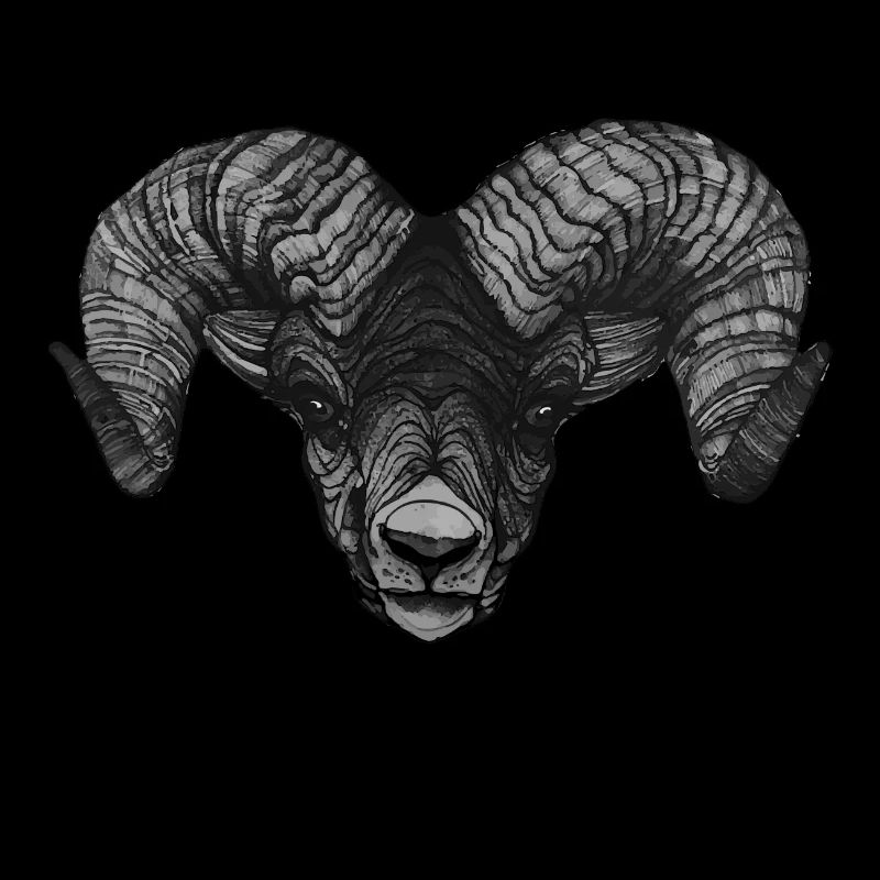 Widder Steinbock Kopf Art Dickkopf