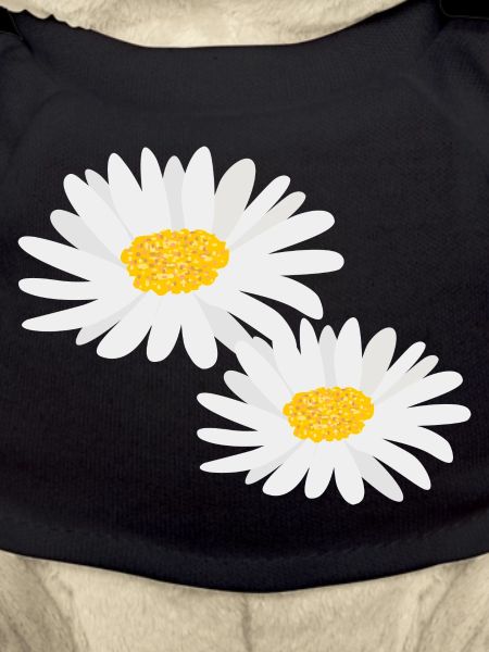Flower Daisies