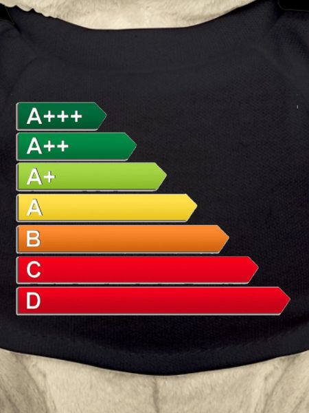 SF energy label