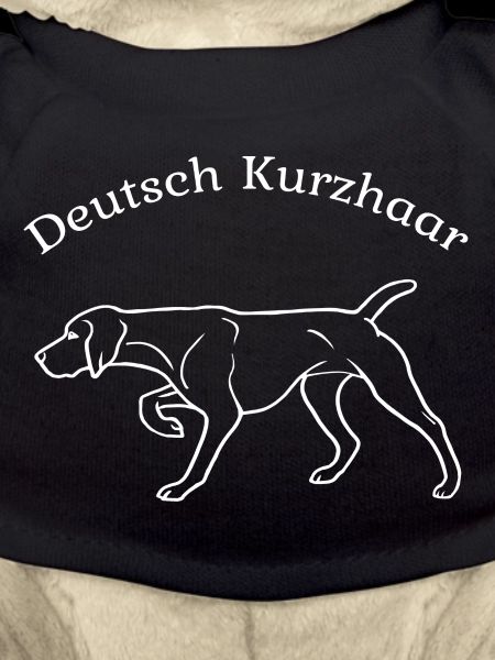 Deutsch Kurzhaar vorstehend