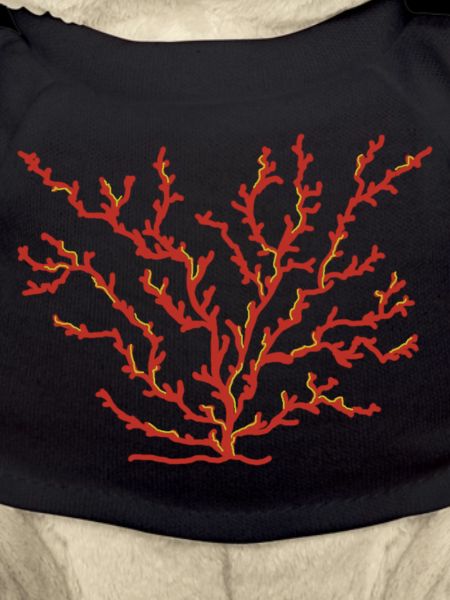 corail