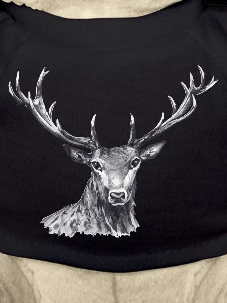 cerf