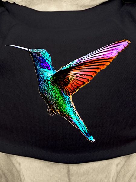 Colibri