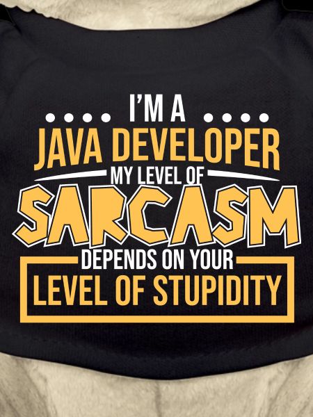 Java Developer