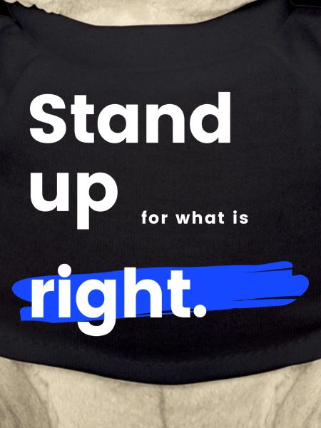 Stand up