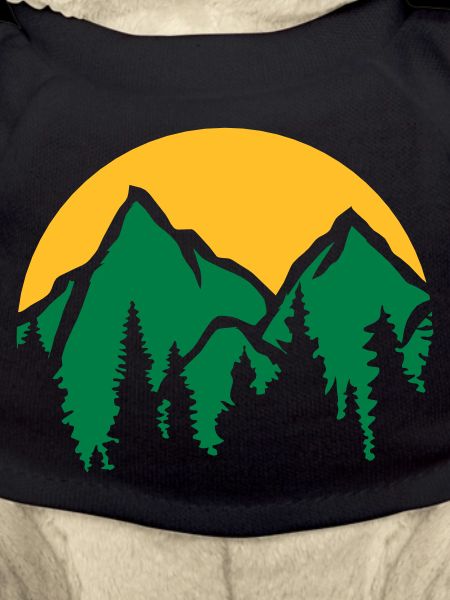 Mountains Sun Conifers