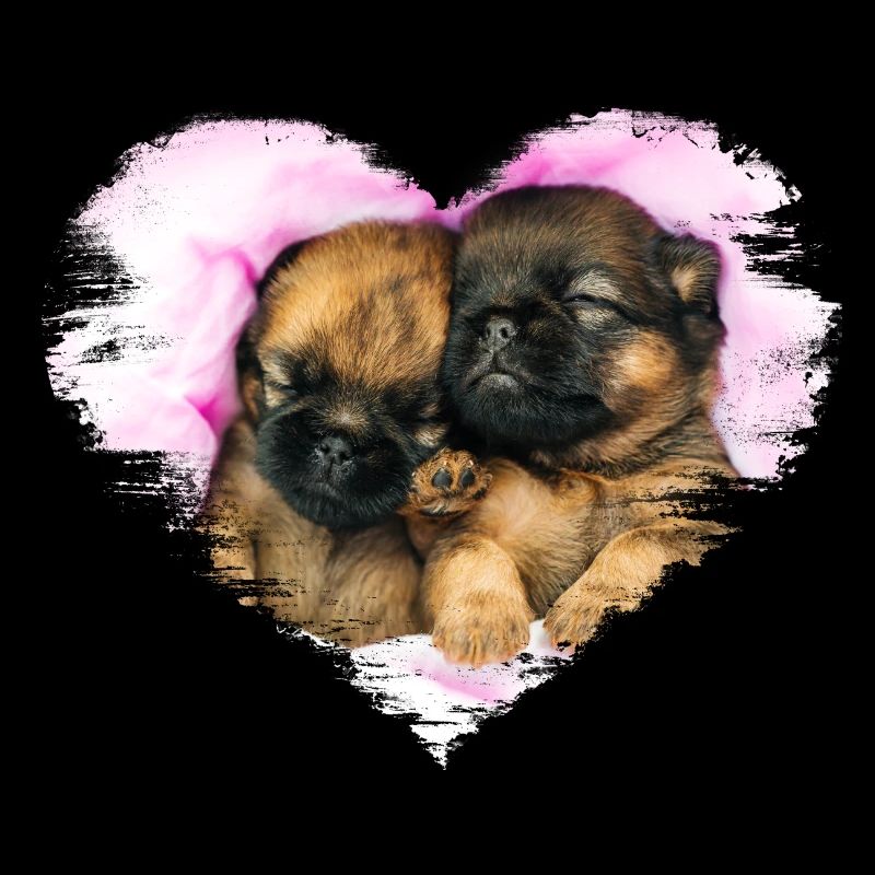 deux petits chiots mignons dans un cœur
