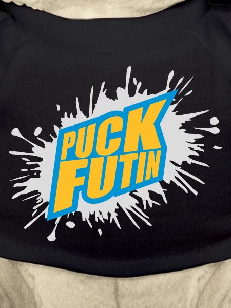 Conception du logo Puck Futin