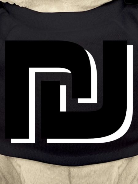 Shekel Domains