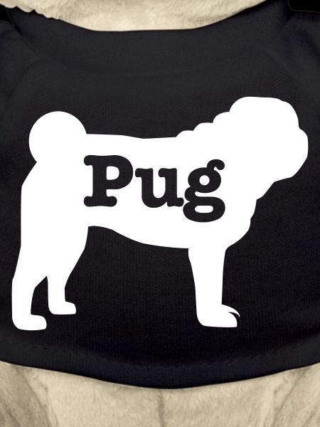 Mops