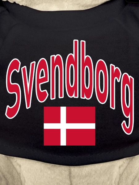 Drapeau de Svendborg Danemark