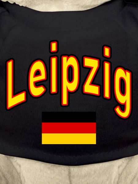 Leipzig germany flag