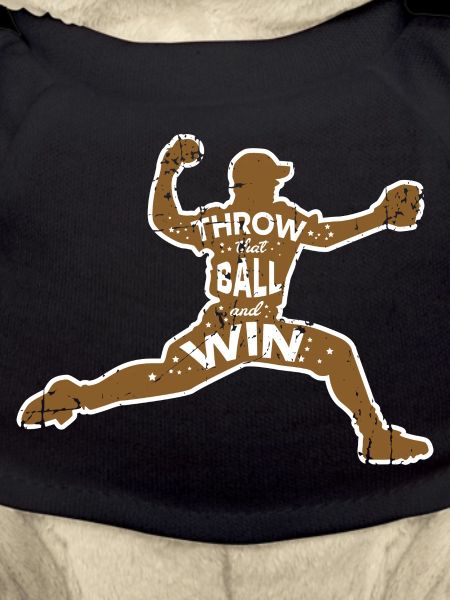 Lancer de baseball