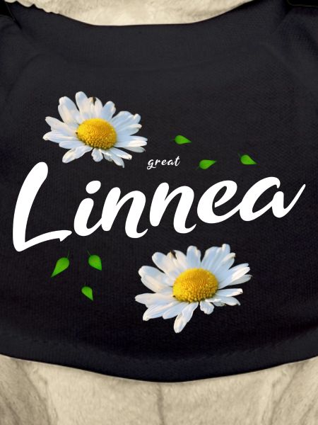 Linnea