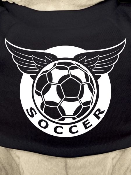Fußball Soccer