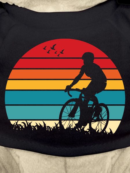 Sunset Ride Silhouette