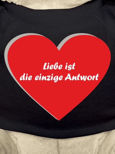 Herz, rot, Spruch