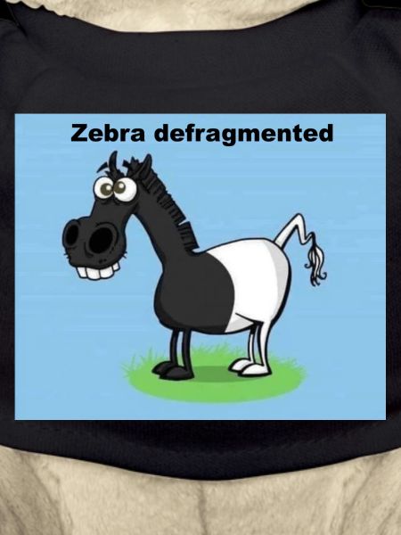 Zebra defragmented