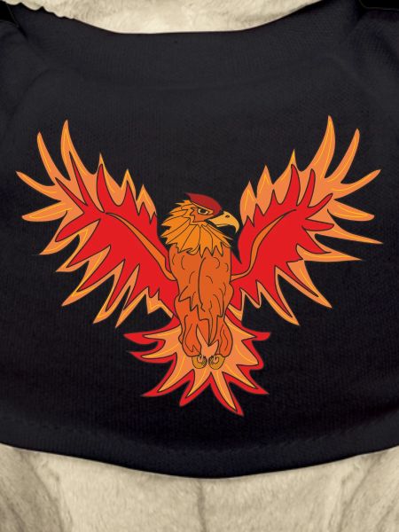 Fire bird