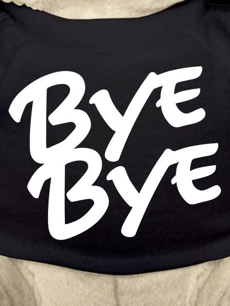 Bye bye