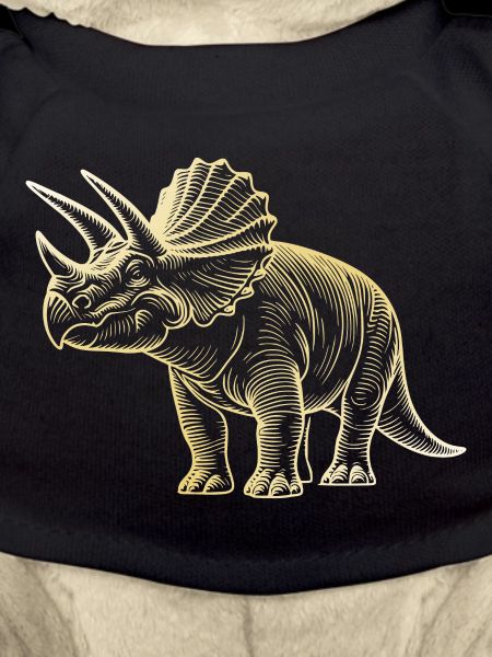Triceratops Dinosaur Drawing
