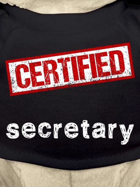 Secretary