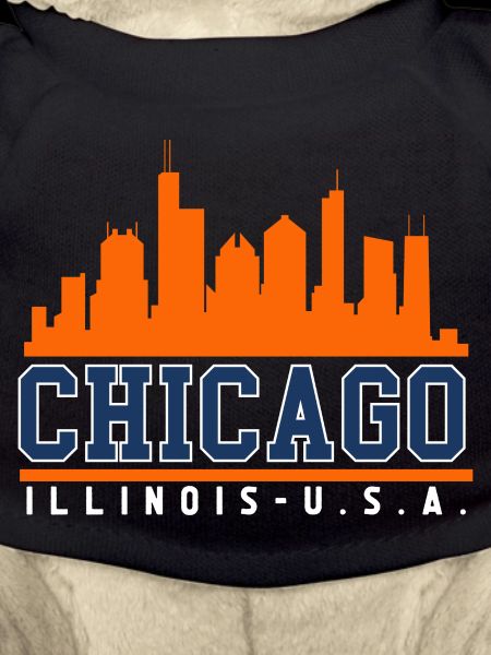 Chicago Illinois Skyline