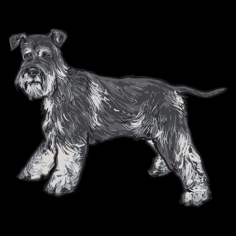Zwergschnauzer Hund Schnauzer