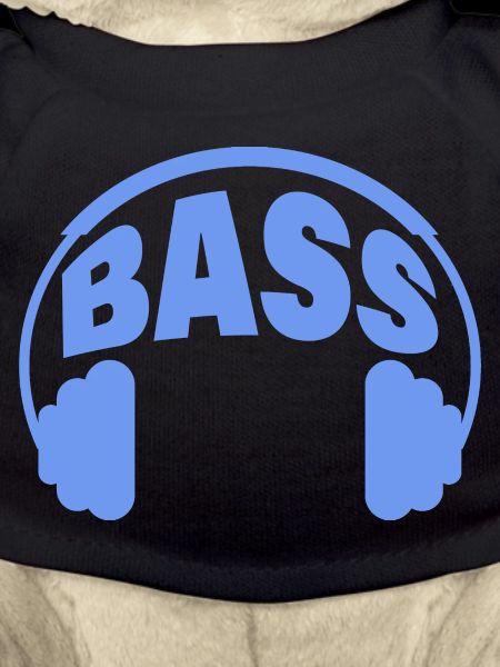 BASSE