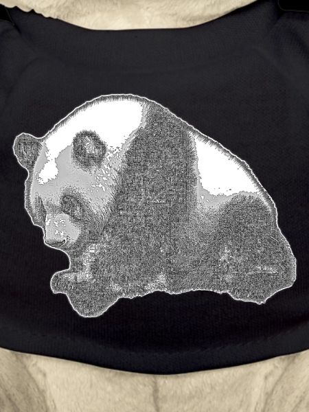 Panda grand