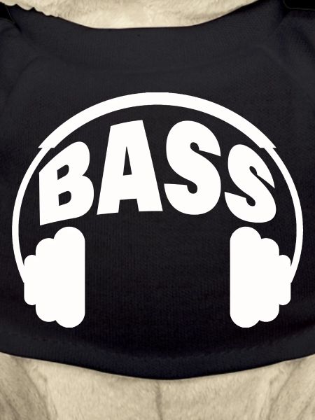 BASSE