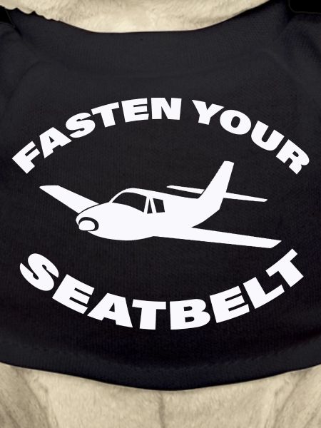 FASTING YOUR SEATBELT