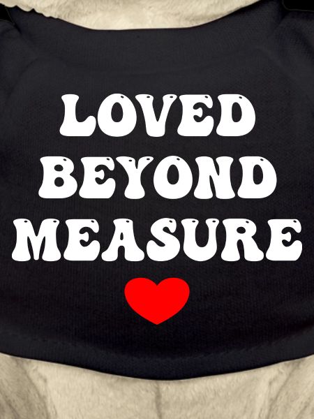Loved Beyond Measure