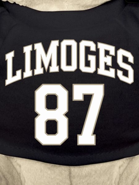 Limoges 87