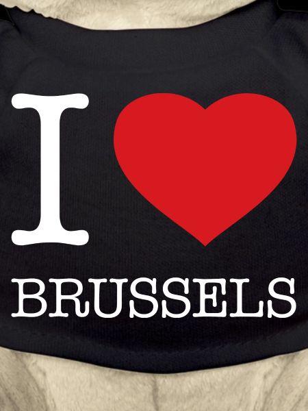 I LOVE BRUSSELS Brüssel