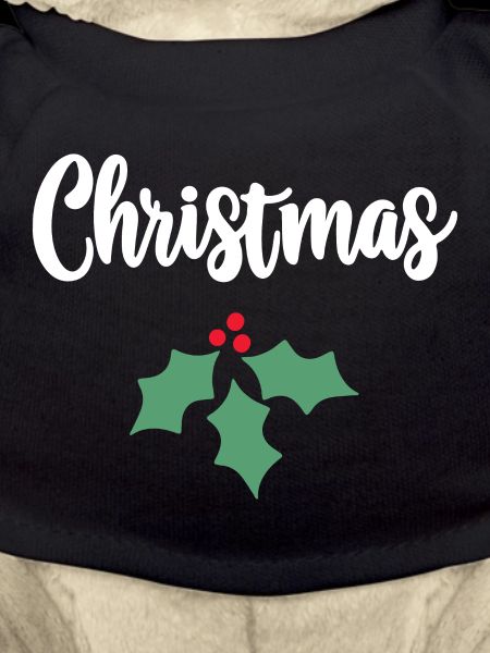 Christmas Holly