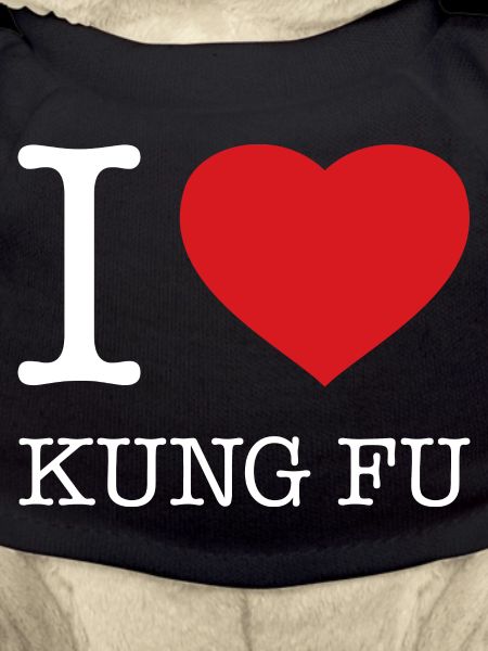 I LOVE KUNG FU