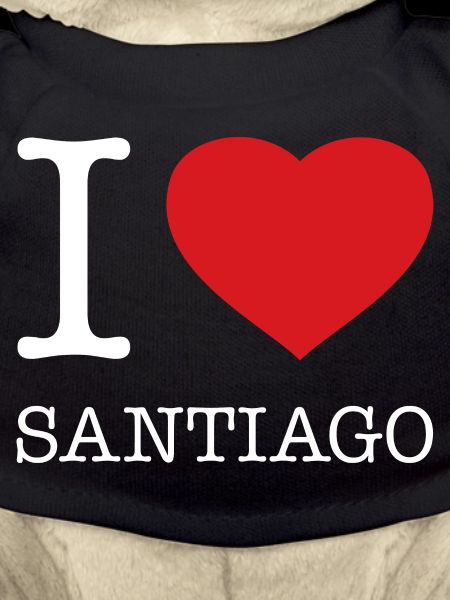 J’ADORE SANTIAGO