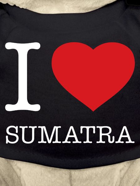 J’ADORE SUMATRA