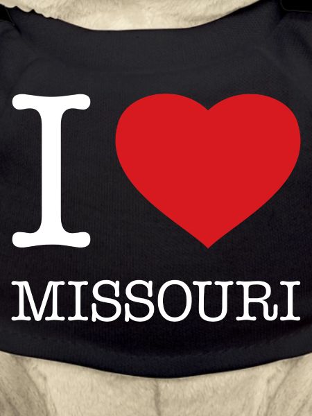 I LOVE MISSOURI