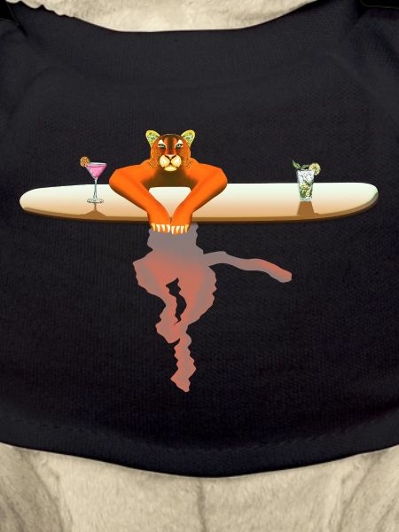 Cat on a surfboard