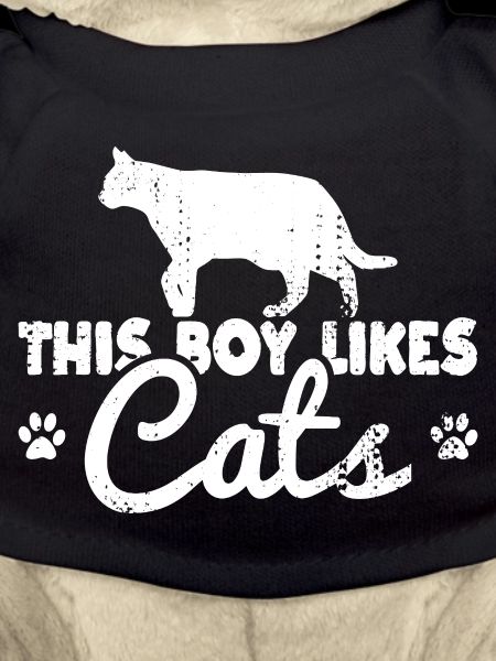This boy likes cats