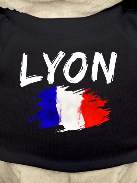 Lyon France Ville Drapeau Lyon