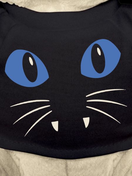 Blue-Eyed Cat